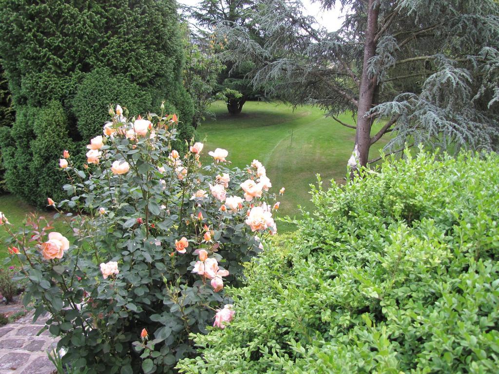 Broceliande